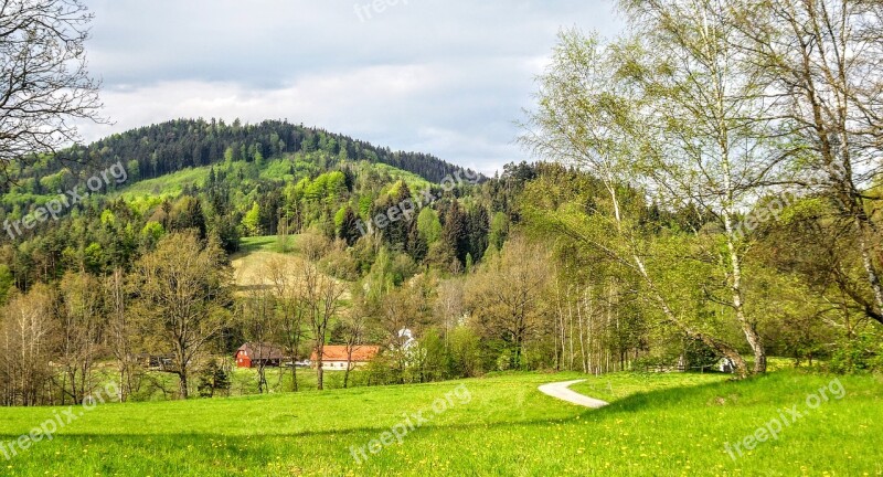 Nature Landscape Meadow Path Mountain