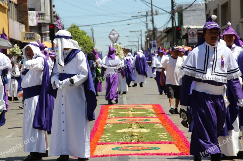 Easter Street Purple Procession Carpet