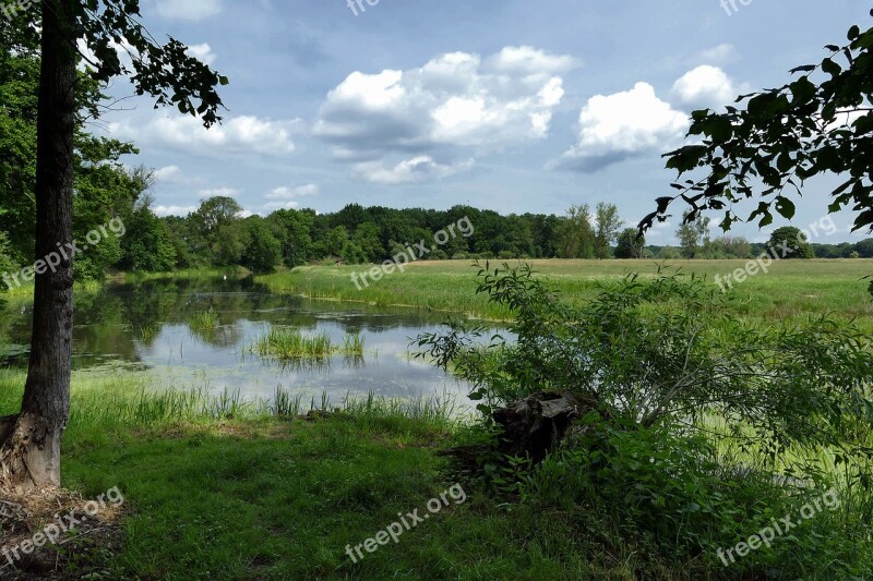 Pond Lake Landscape Biotope Free Photos