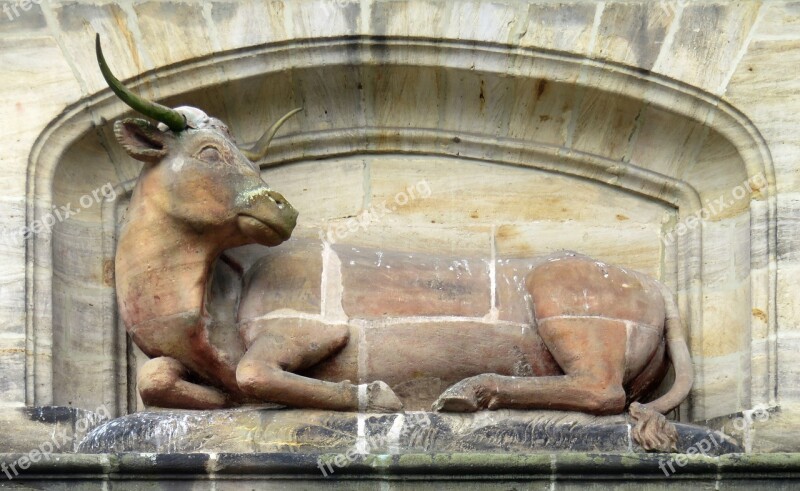 Ox Sculpture Bamberg The Slaughter House Animal Figure