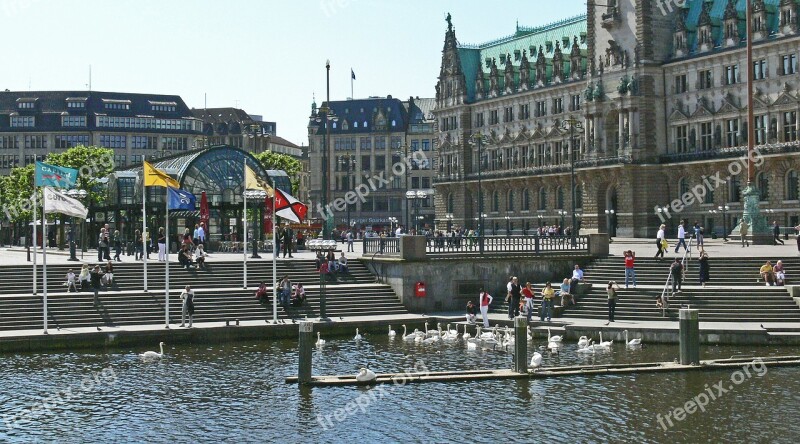 Hamburg Town Hall Square Alster Terraces Stairs Swans