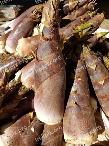 Nc Bamboo Shoot Edible Vegetarian Cuisine Root