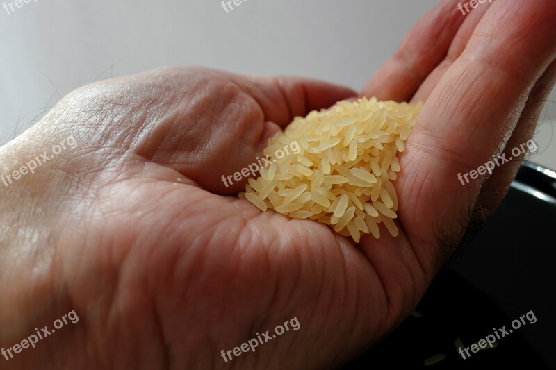 Rice Handful Of Rice Rice Bowl Asia Food