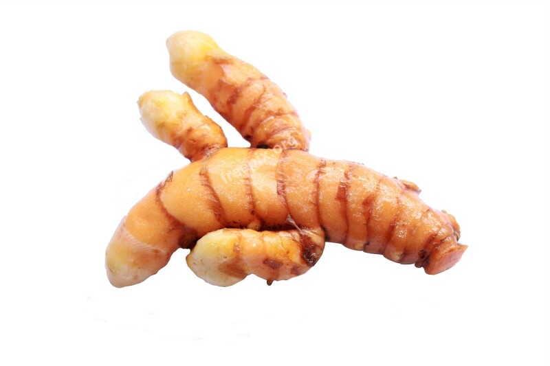 Turmeric Herb Plant Food Medicine