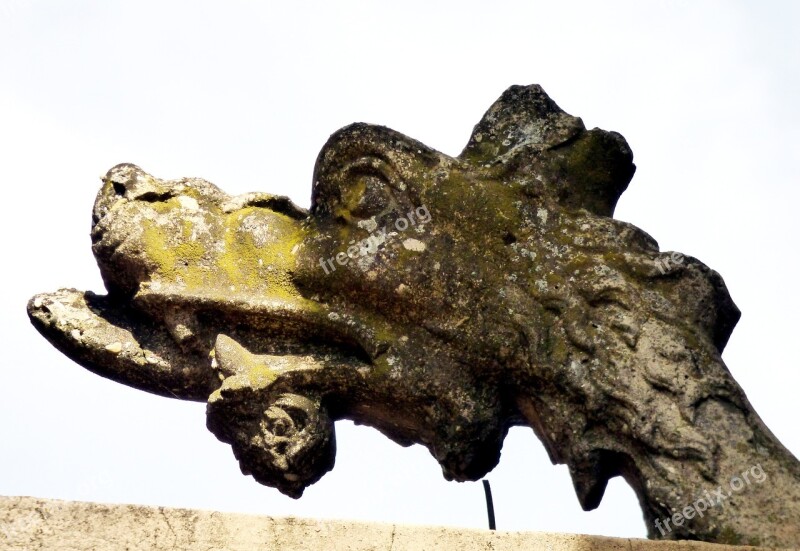 Dragon Pierre Sculptures France Rhône