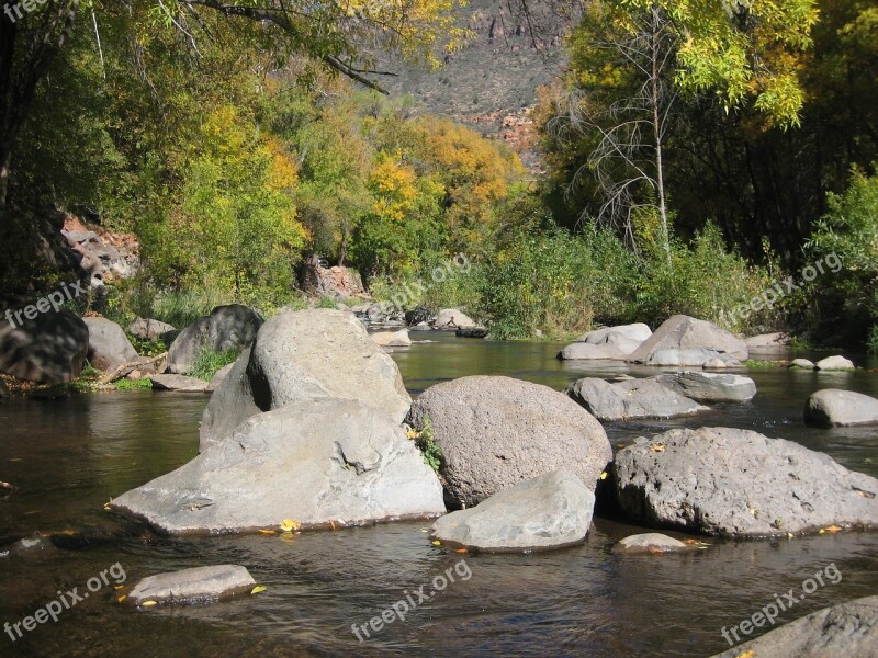 Sedona Creek Oak Nature Landscape