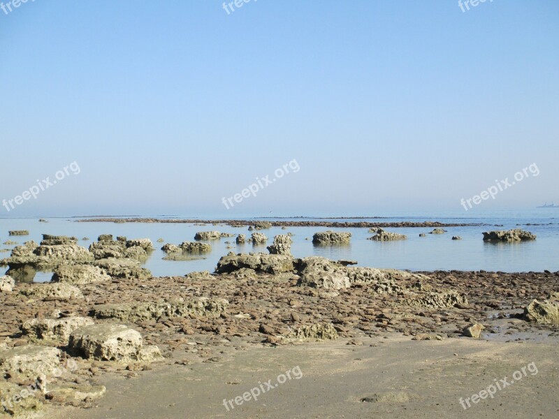 Sea Beach Coral Nature Natural Island