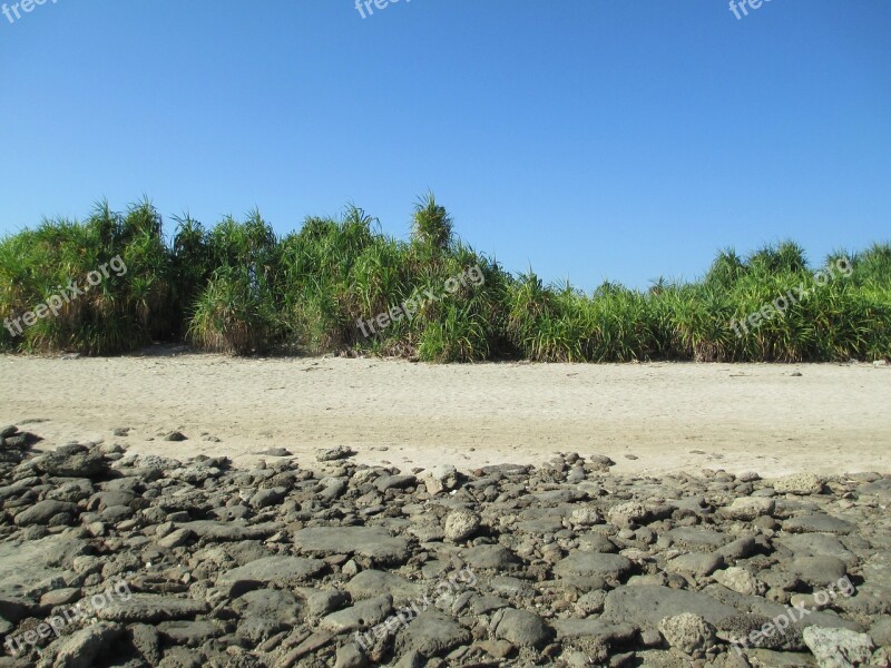 Landscape Natural Sea Beach Scenery Tree