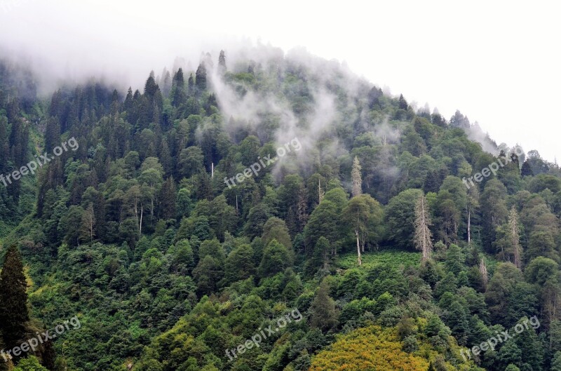 Eastern Black Sea Rize Ayder Plateaus Kaçkars