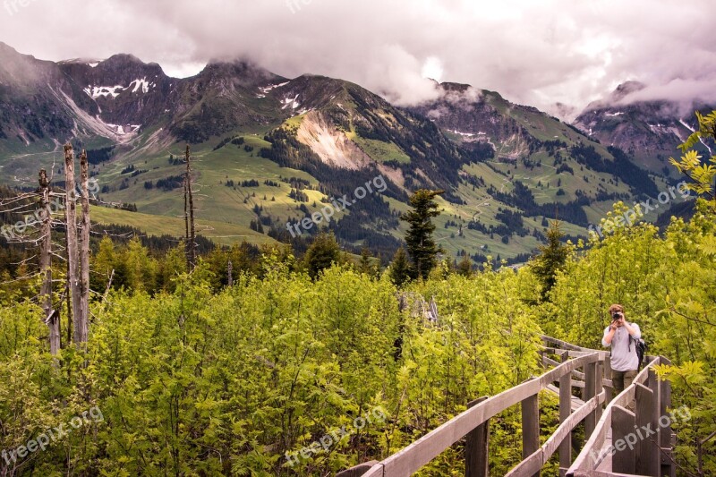 Photographer Boardwalk Gäggersteg Nature Lothar