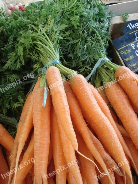 Vegetables Carrots Market Producer Agriculture