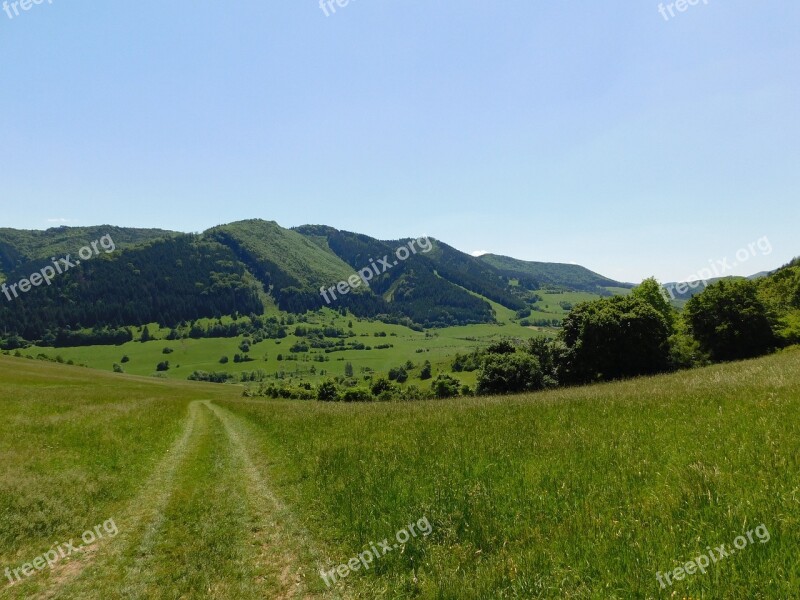 Country Slovakia Forests Mountain Spring