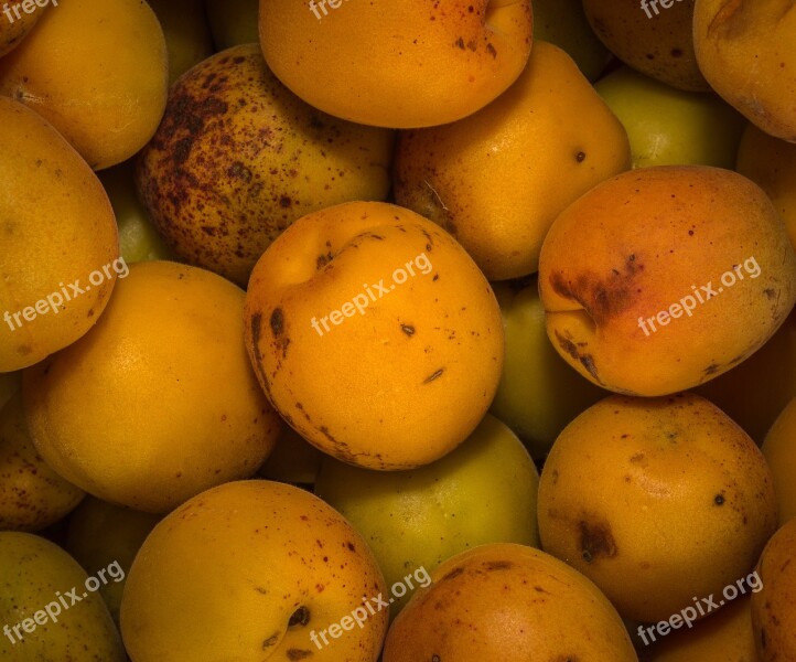 Plum Peach Apricot Fruit Nature