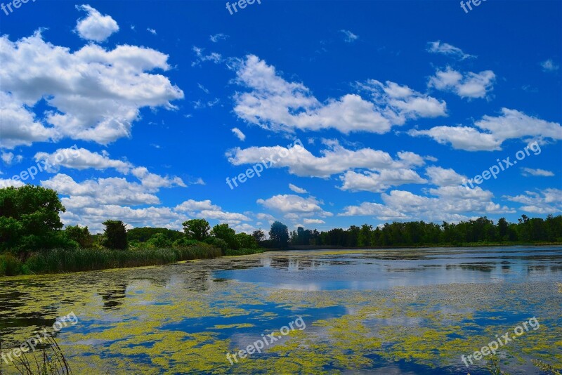 Swamp Clouds Sky Blue Nature