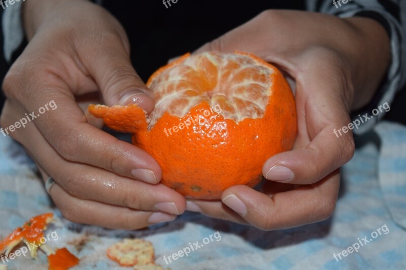 Orange Tangerine Peel Shell Hands