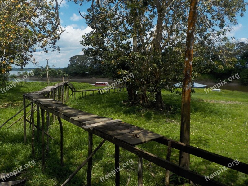 Amazon Jungle Bridge Nariño Port Landscape