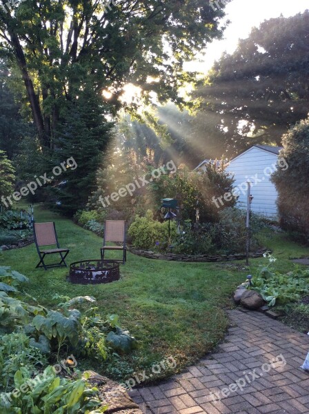 Morning Light Garden Sunlight Landscape Summer