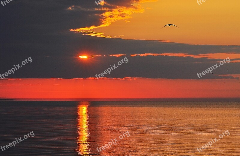 Sunset Clouds Sky Sunset Sky Orange