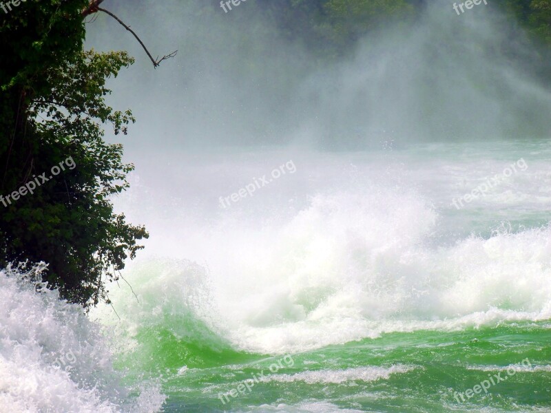 Rhine Falls Waterfall Spray Roaring Foaming