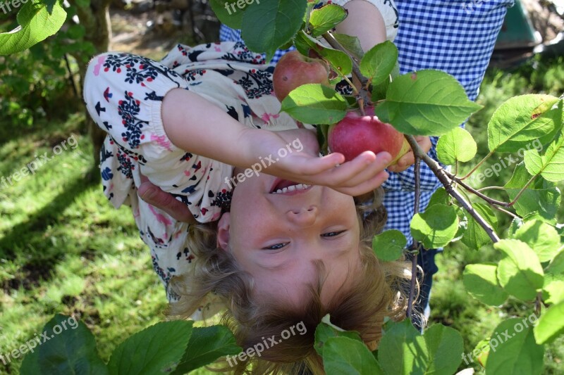 Children Garden Apple Fruit Green