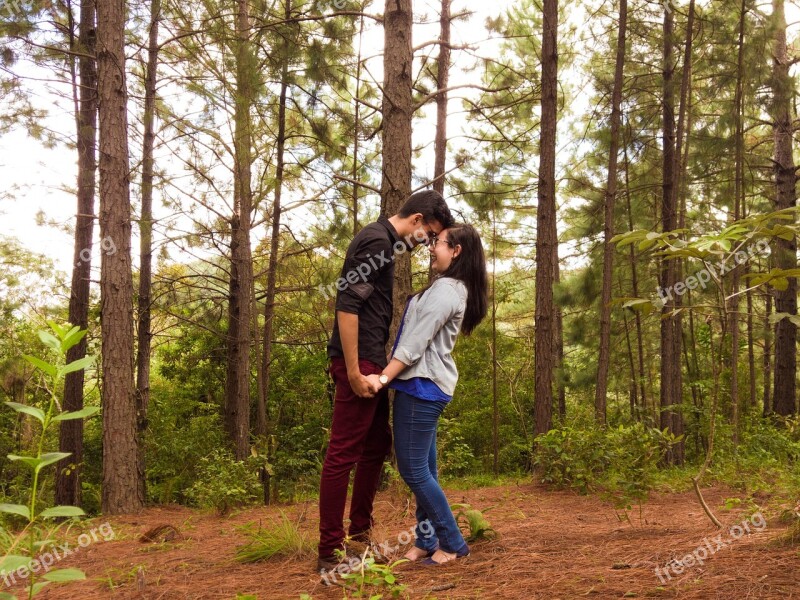 Hand In Hand Natural Light Forest Casal Free Photos