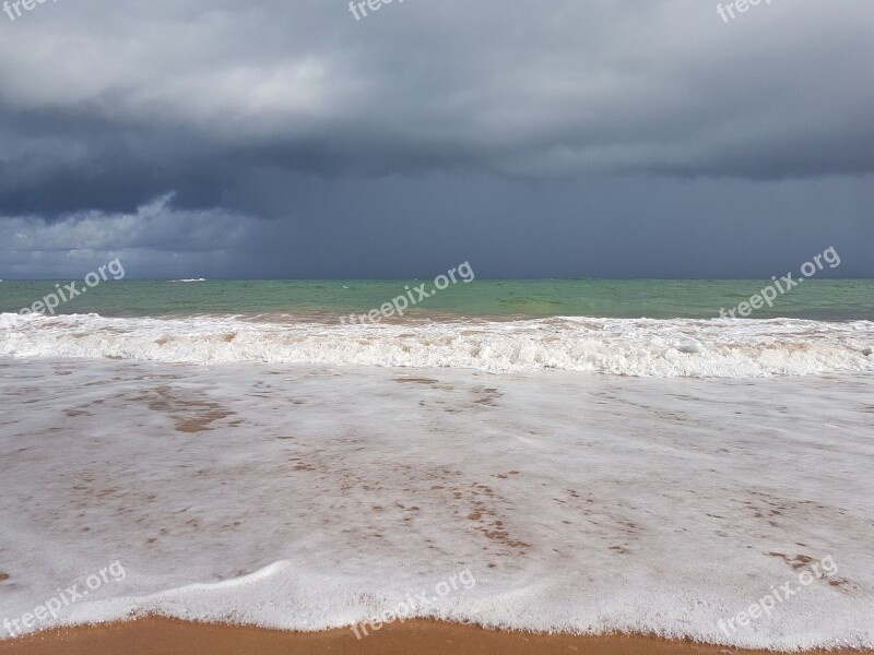 Beach Landscape Nature Mar Coconut Trees