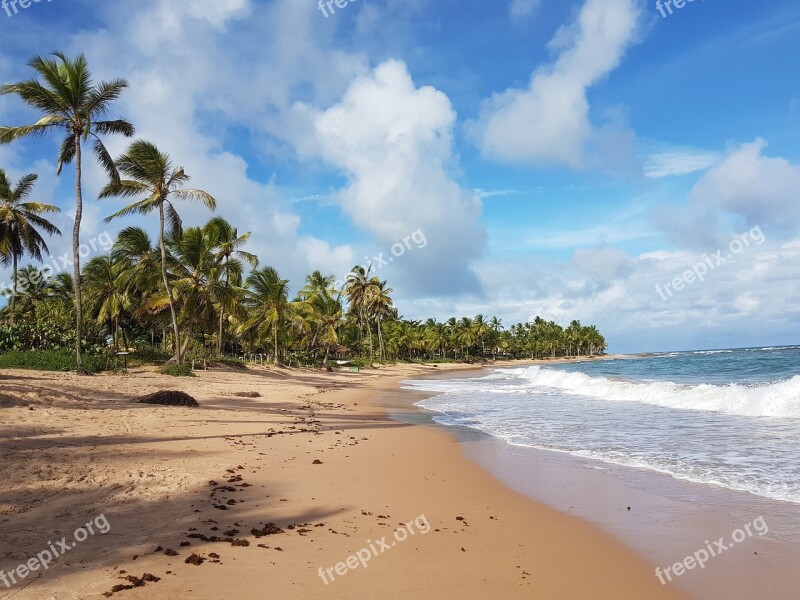 Beach Landscape Nature Mar Coconut Trees