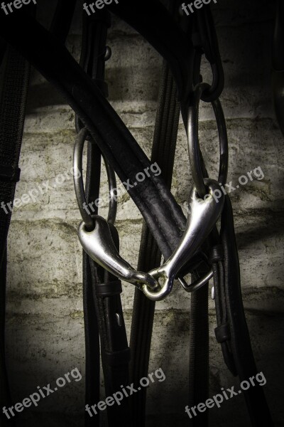 Bridle Horse Bit Equine Sport