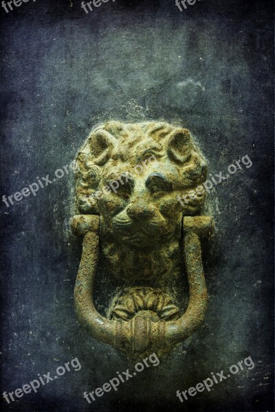 Venice Door Knocker Lion Ancient Old