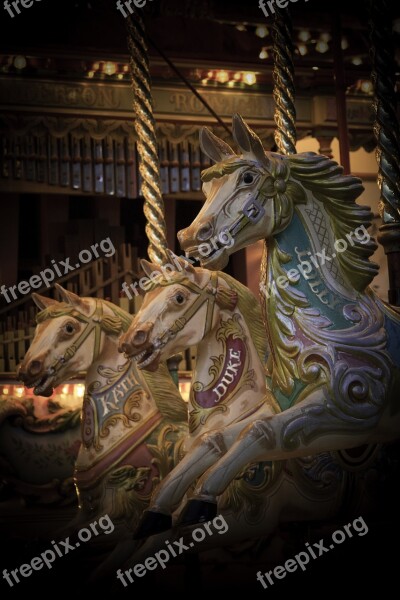 Carousel Horse Fair Carnival Amusement