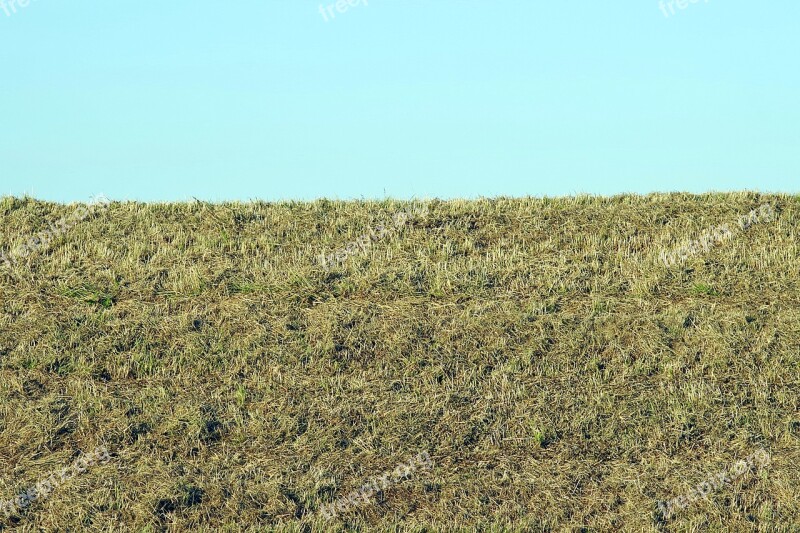 Skoszone Meadow Stok The Background Sky