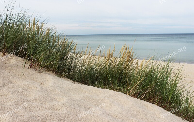 Sea The Baltic Sea Beach The Coast Of The Baltic Sea Sand