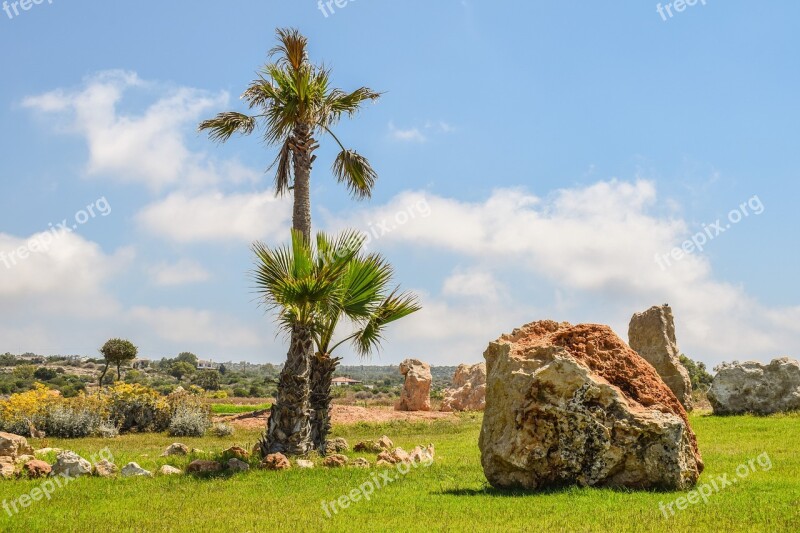 Landscaping Palm Trees Rocks Garden Landscape