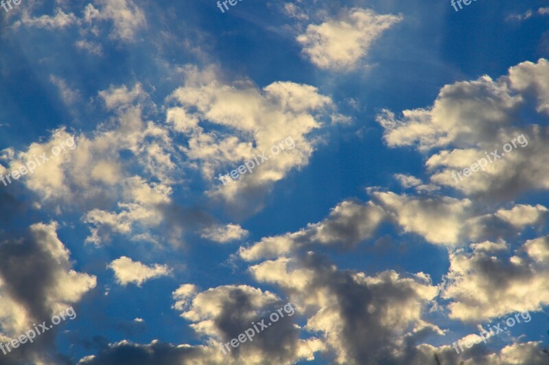 Sky Clouds Blue Cotton Free Photos