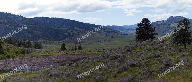 Landscape Arid Grassland Pasture Grazing