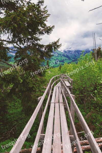 Switzerland Hiking Nature Web Bridge