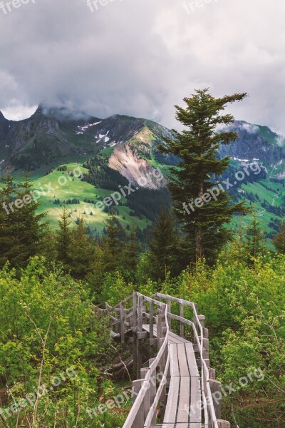 Nature Web Bridge Mountains Wood