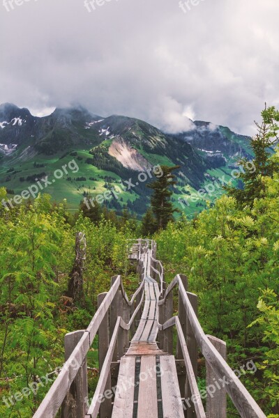 Nature Web Bridge Mountains Wood