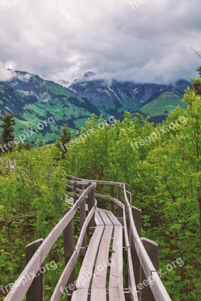 Nature Web Bridge Mountains Wood