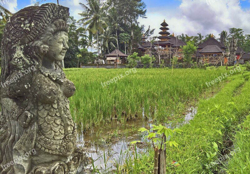 Paddy Temple Bali Temple Complexes Free Photos