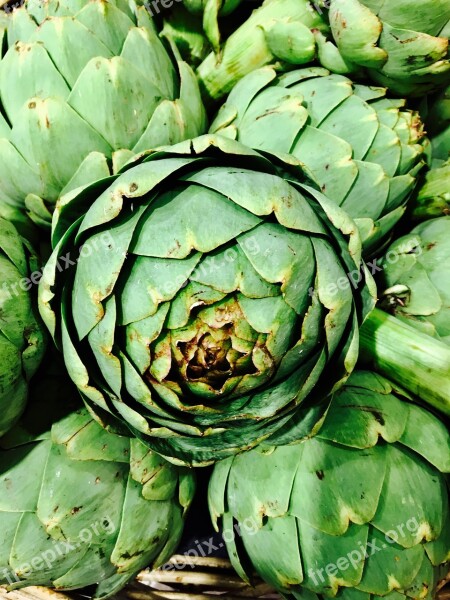 Artichokes Green Eat Fresh Summer