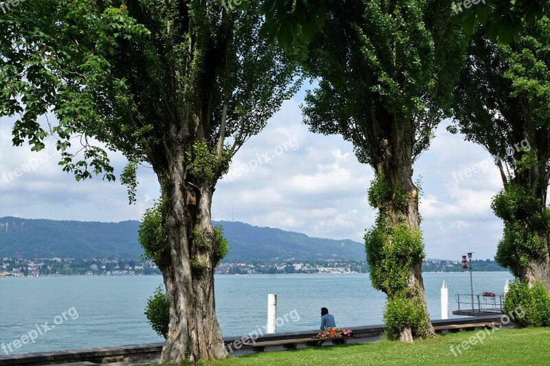 Zollikon Landscape Nature Switzerland Canton