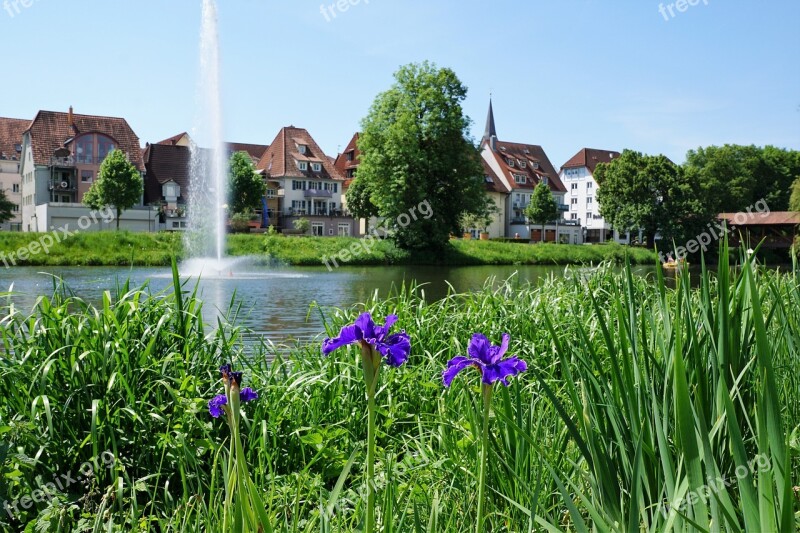 Danube Tuttlingen Green River Germany