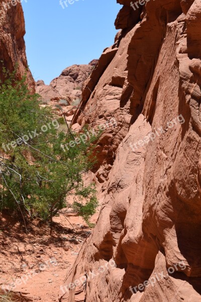 Canyon The Valley Of Fire Nevada Desert Sandstone