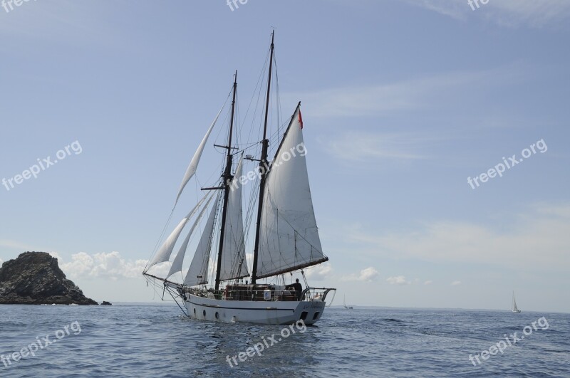 Sail Traditional Sailer Sailing Vessel Free Photos