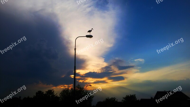 Bird Cloud's Sunset Stork Free Photos