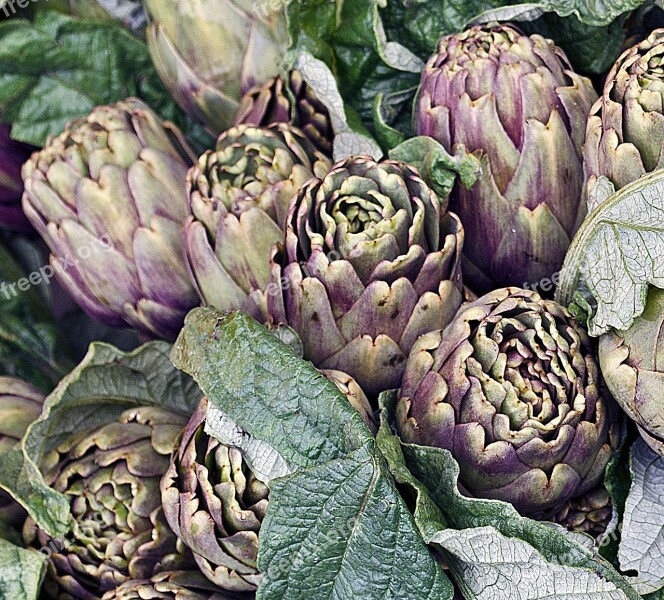 Artichokes Italy Vegetables Food Organic