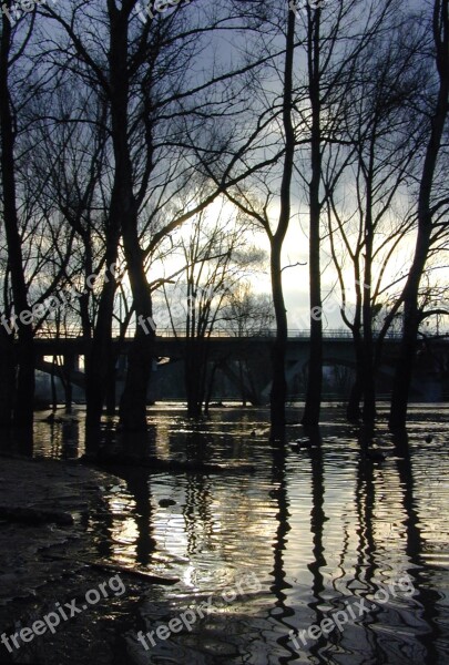 Trees Reflection Water Under Water Sky