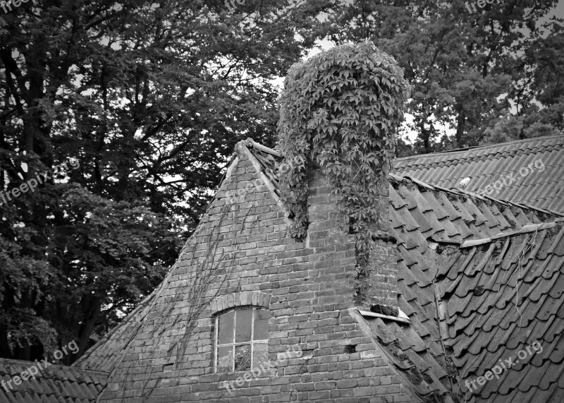 Gable Old House Roof Chimney Ivy