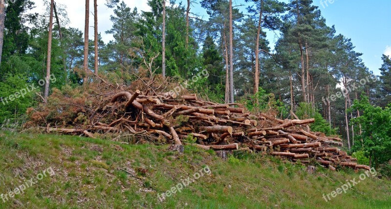 Wood Holzstapel Timber Industry Strains Timber